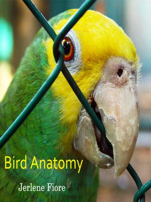 cover image of Bird Anatomy